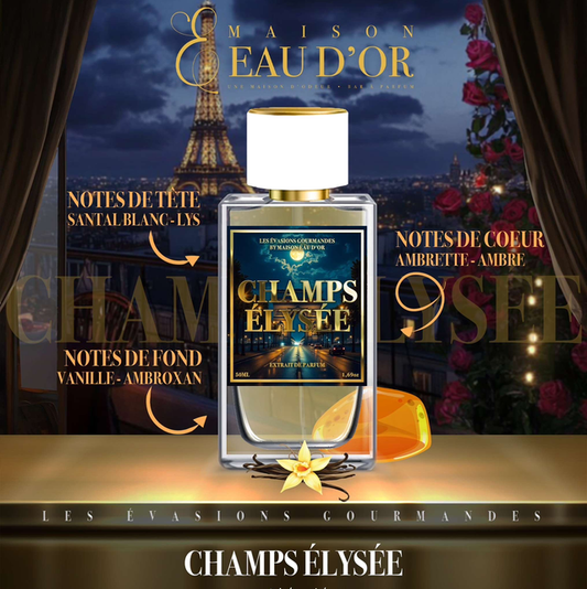 CHAMPS ELYSÉES - EAU D’OR (dupe santal de Paris)
