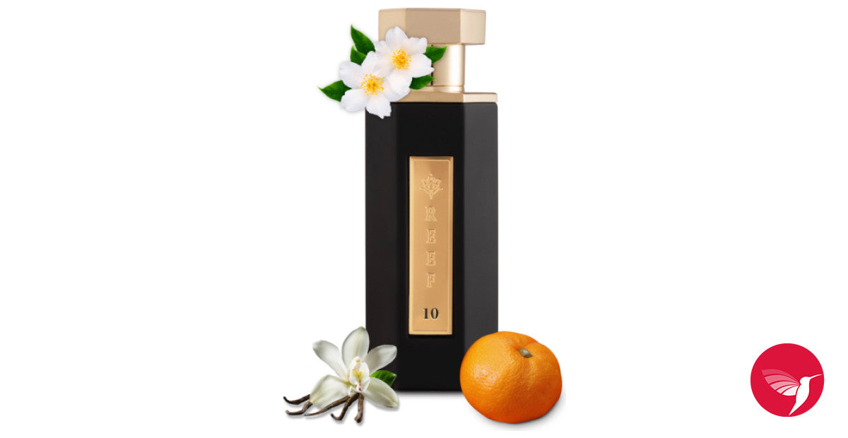 REEF 10 - 100ml Reef